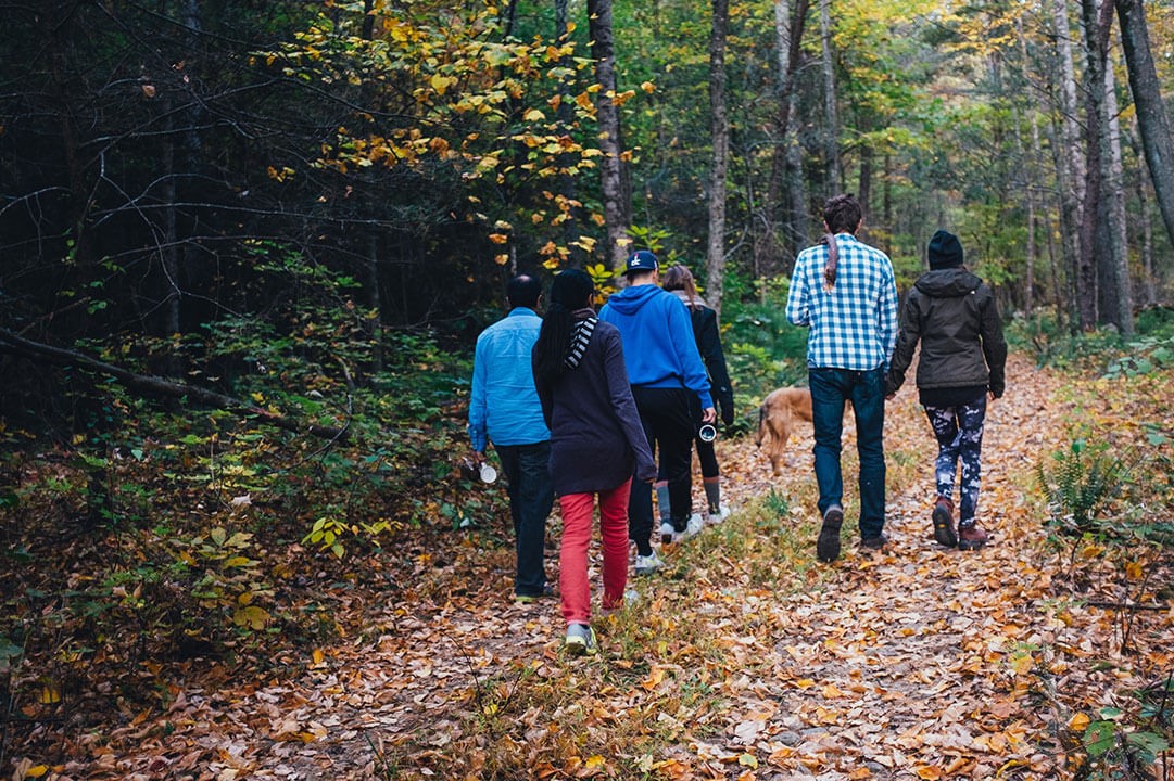 Group of friends walking in the woods on Autumn day