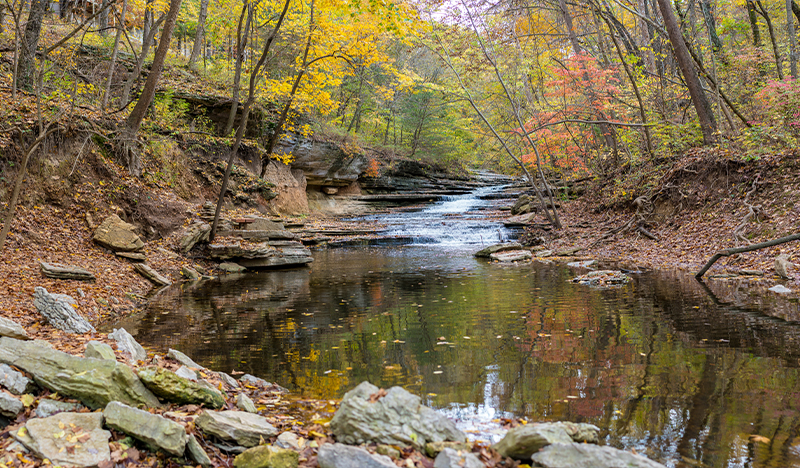 Bella Vista stream surrounded by rocks and trees