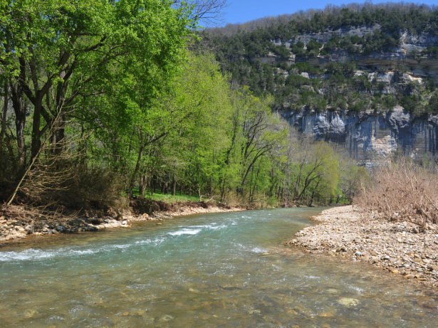 Buffalo National River surrounded by trees