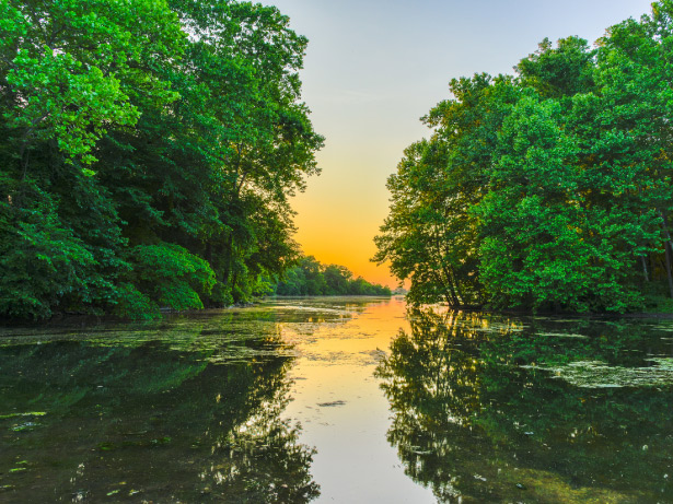 Crystal Lake decatur surrounded by trees