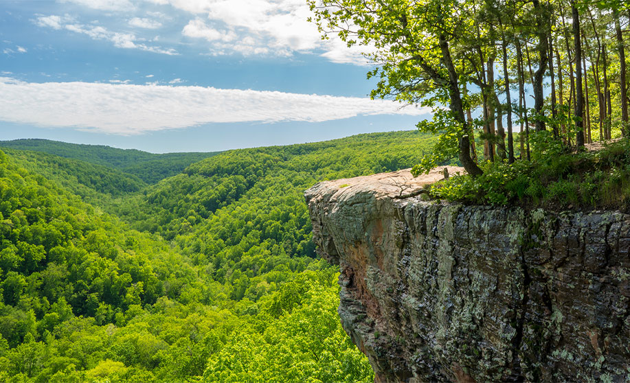 land and cliff